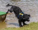 20190817-awd-0563