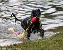 20190817-awd-0580