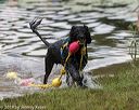 20190817-awd-0584