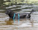 20190817-awd-0609