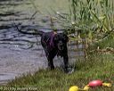 20190817-cwd-0034