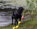 20190817-cwd-0039