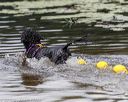 20190817-cwd-0047
