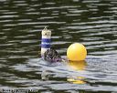 20190817-cwd-0091