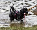 20190817-cwd-0110