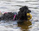20190817-cwd-0119