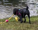 20190817-cwd-0154
