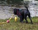 20190817-cwd-0155