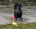 20190817-cwd-0158