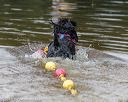 20190817-cwd-0167