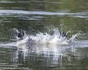20190817-cwd-0191