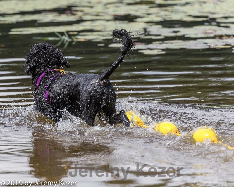 20190817-cwd-0045.jpg