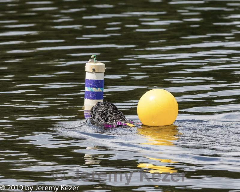 20190817-cwd-0091.jpg