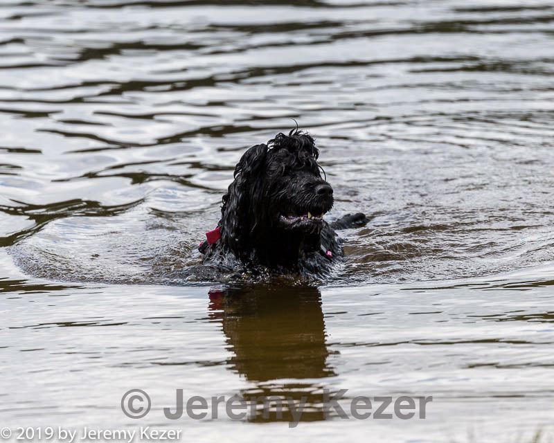 20190817-cwd-0147.jpg