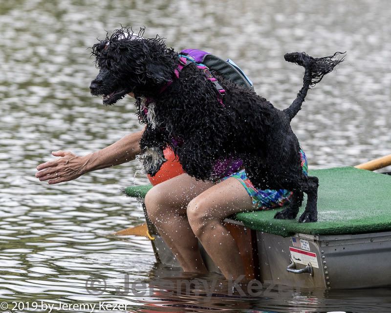 20190817-cwd-0205.jpg