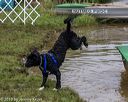 20190817-jwd-0047