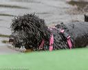 20190817-jwd-0110