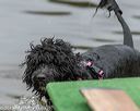 20190817-jwd-0115