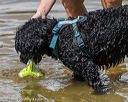 20190817-jwd-0199
