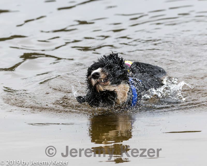 20190817-jwd-0013.jpg
