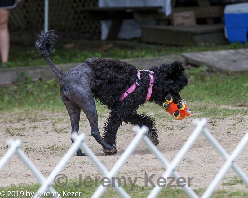 20190817-jwd-0064.jpg
