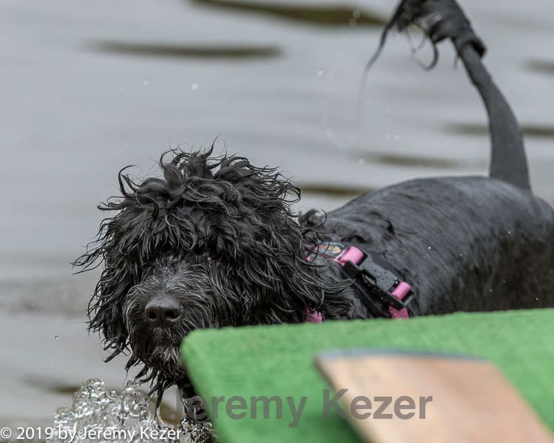 20190817-jwd-0115.jpg