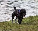 20190817-mwd-0033
