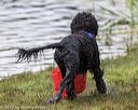 20190817-mwd-0040