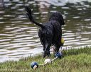20190817-mwd-0095