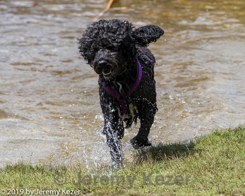 20190817-mwd-0005.jpg