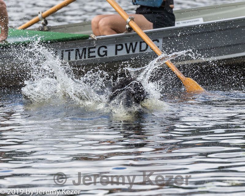 20190817-mwd-0026.jpg