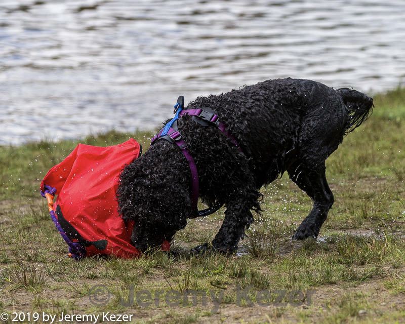 20190817-mwd-0036.jpg