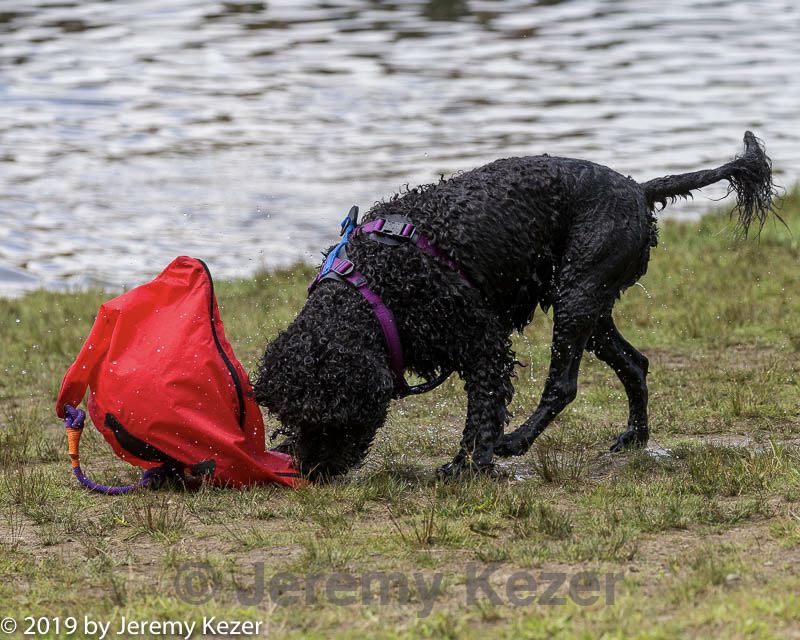 20190817-mwd-0037.jpg