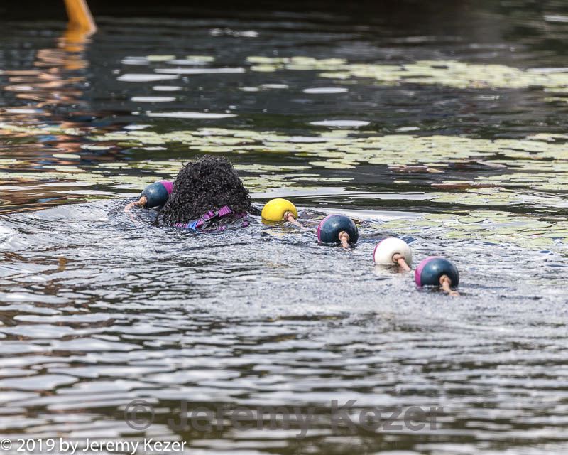 20190817-mwd-0111.jpg