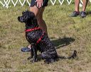 20190817-senior-0002