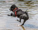 20190817-senior-0005