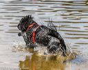 20190817-senior-0006