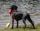 20190817-senior-0065
