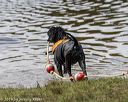 20190817-senior-0114