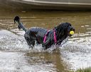 20190817-wwd-0006