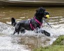 20190817-wwd-0008