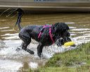 20190817-wwd-0011