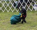 20190817-wwd-0017