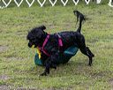 20190817-wwd-0021