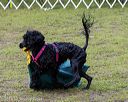 20190817-wwd-0024