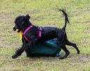 20190817-wwd-0025