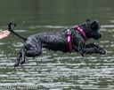 20190817-wwd-0098
