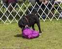 20190817-wwd-0120