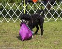 20190817-wwd-0122