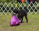 20190817-wwd-0123